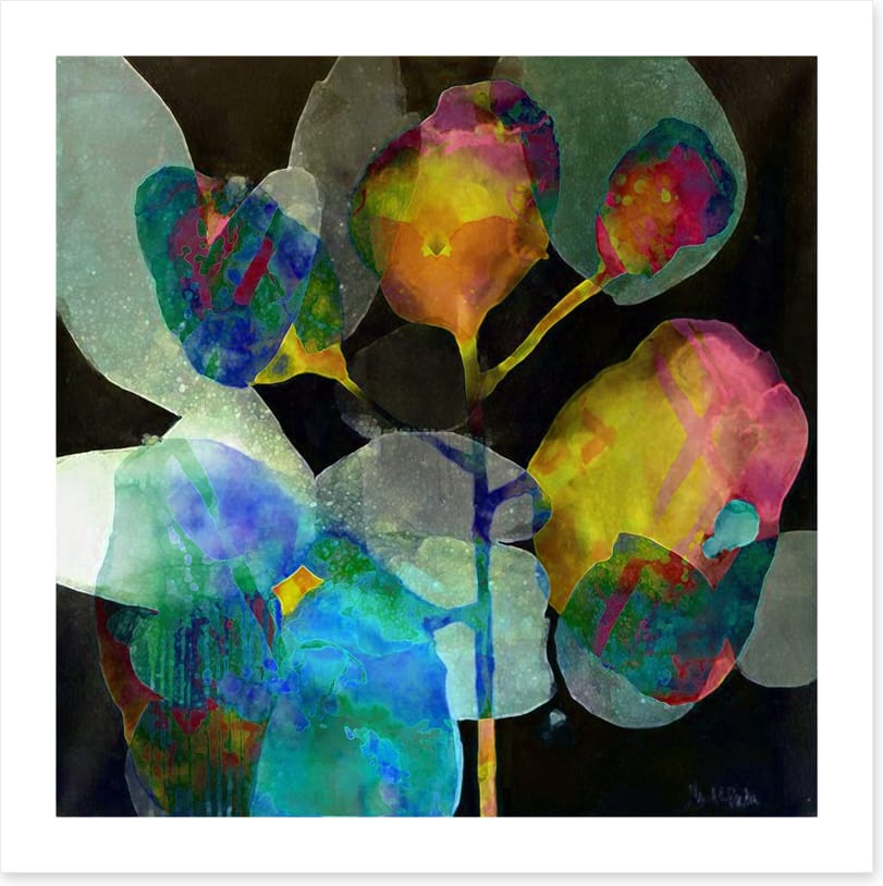 Moonshine bloom