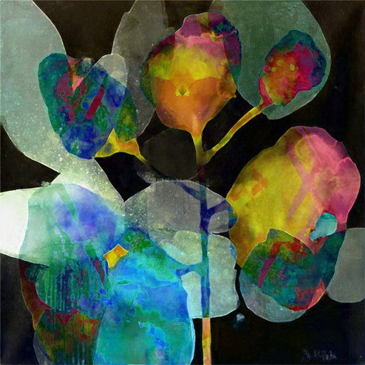 Moonshine bloom