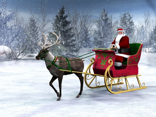 Dashing through the snow