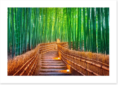 The bamboo bridge