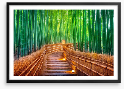 The bamboo bridge