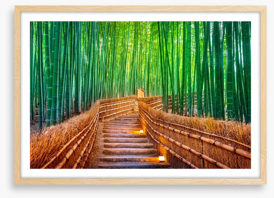 The bamboo bridge