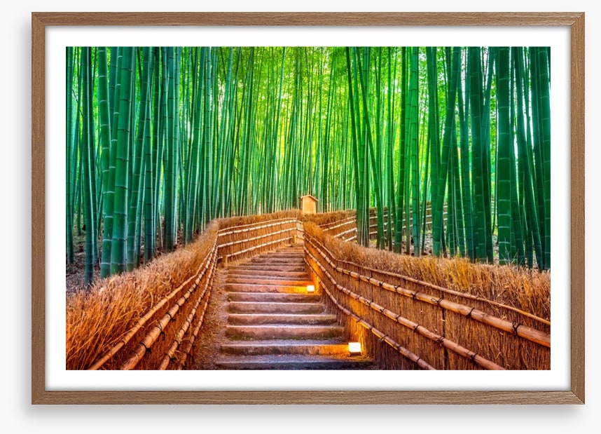 The bamboo bridge