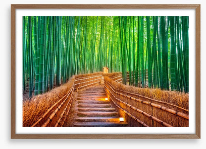 The bamboo bridge