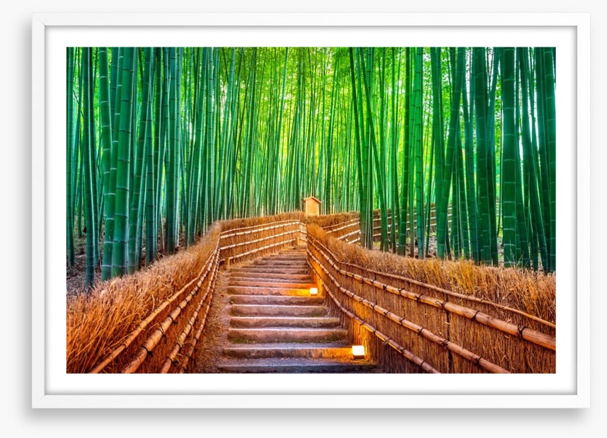 The bamboo bridge