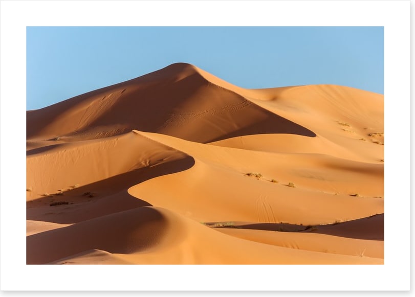 Desert