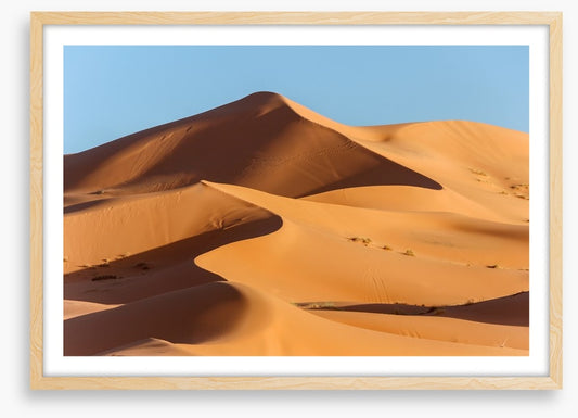 Desert