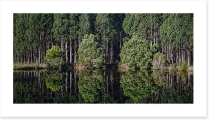 Tasmania