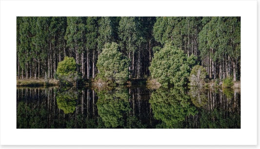 Tasmania
