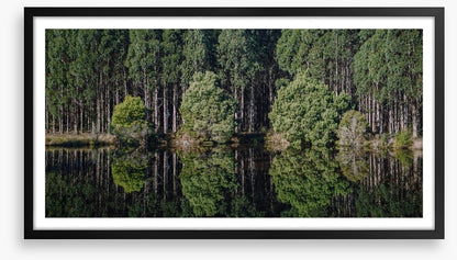 Tasmania