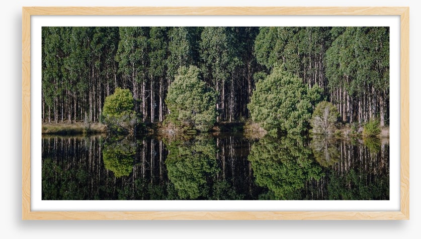 Tasmania