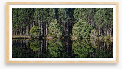 Tasmania