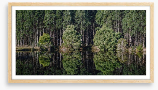 Tasmania