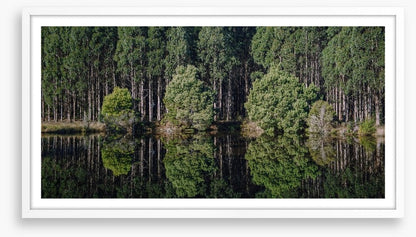 Tasmania