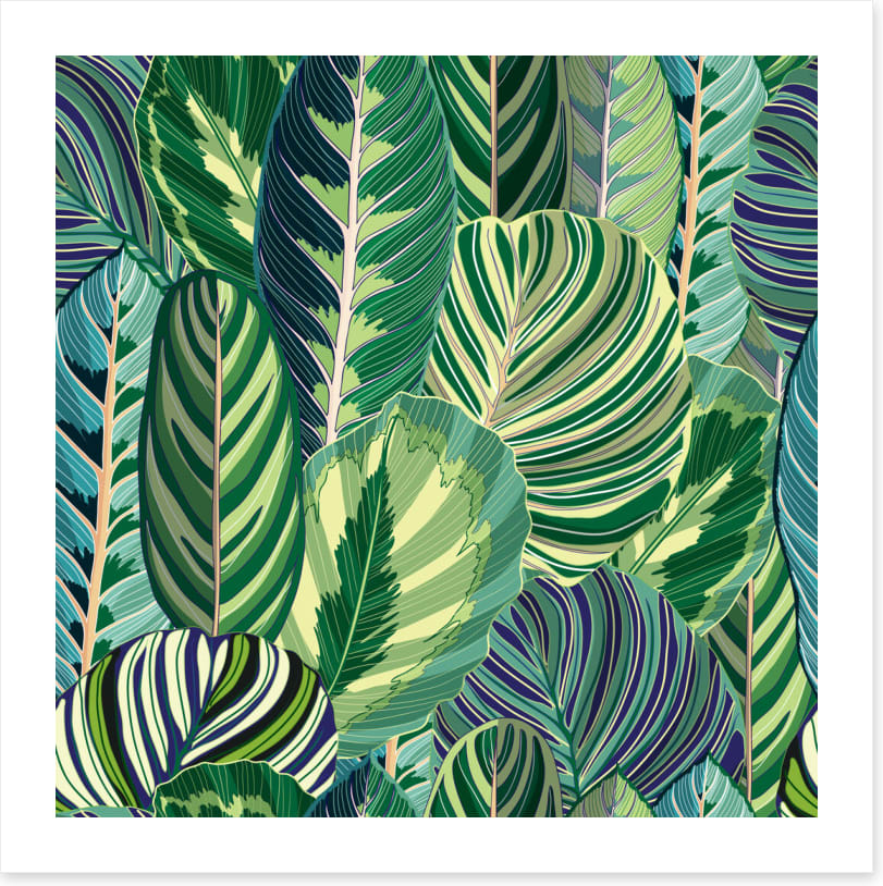 Variegated greens
