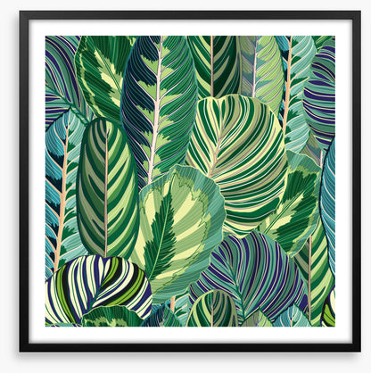 Variegated greens