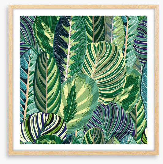 Variegated greens
