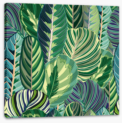 Variegated greens