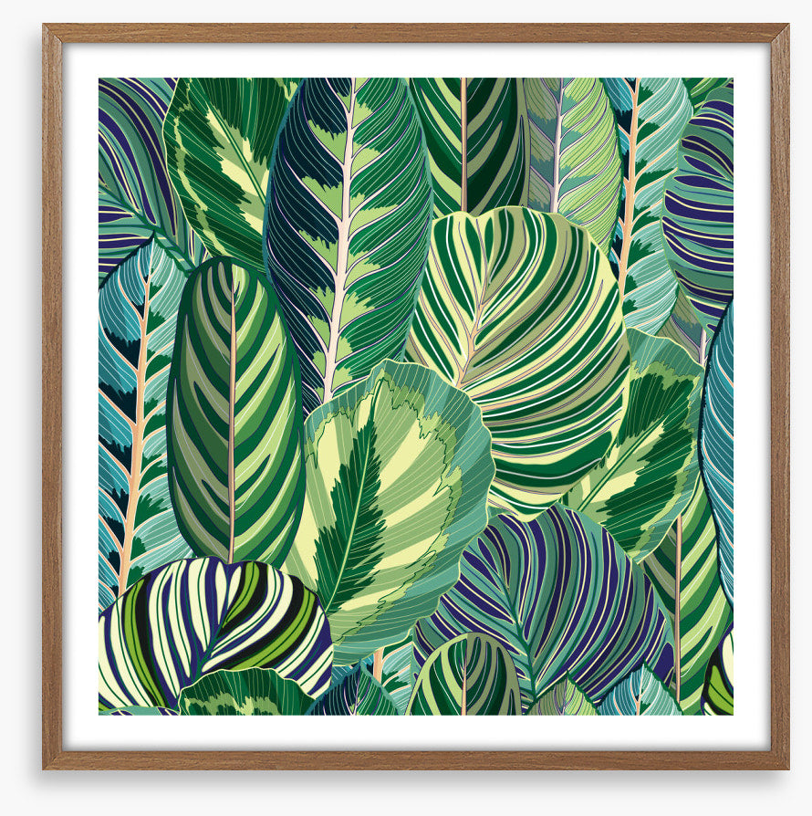Variegated greens