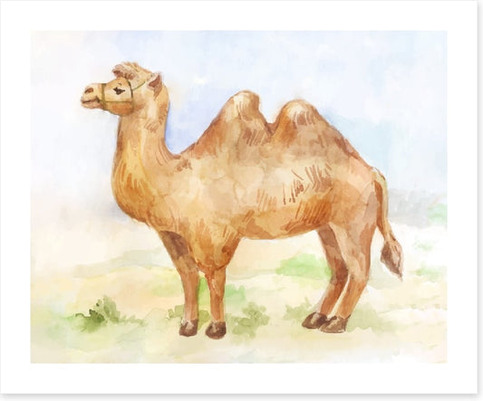 Alice the camel