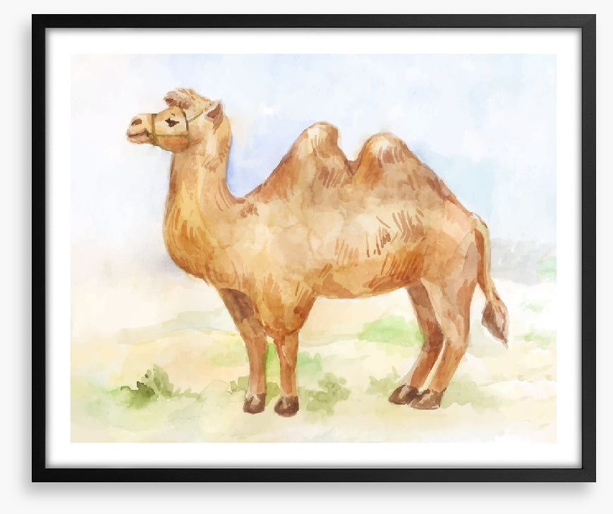 Alice the camel