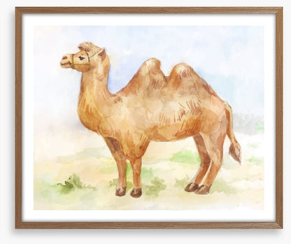 Alice the camel