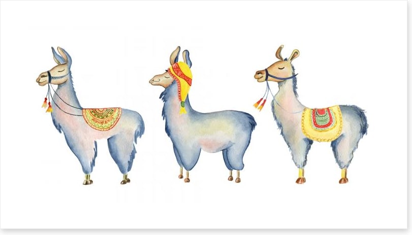Llama parade