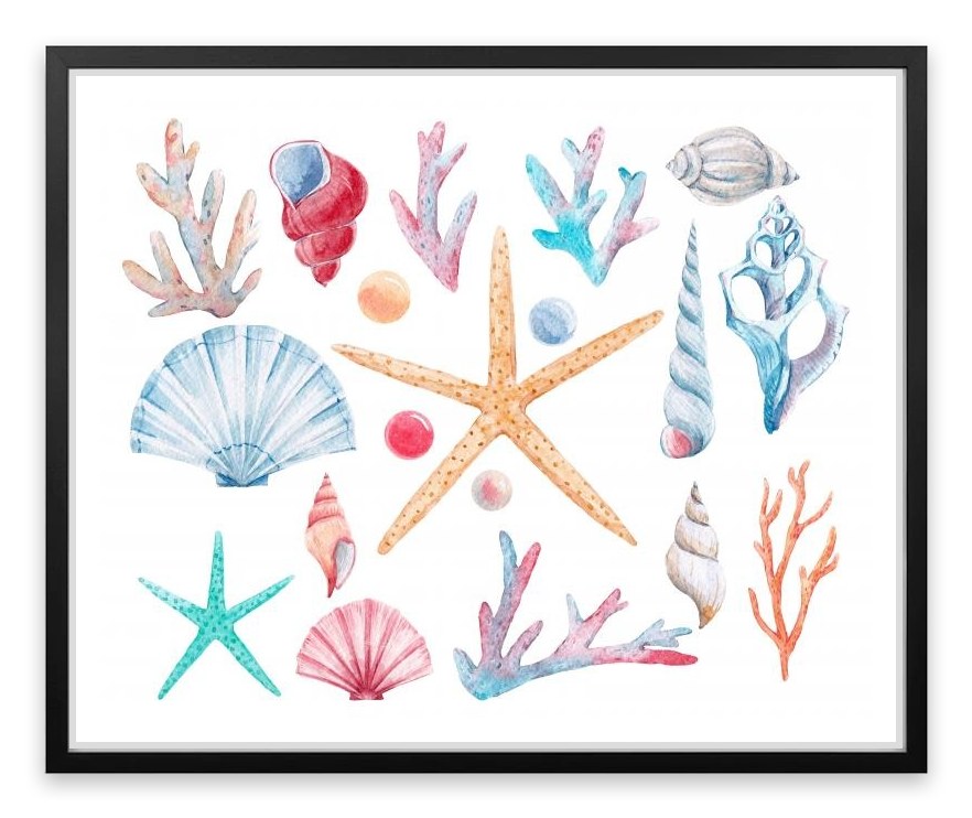 Coral and shells