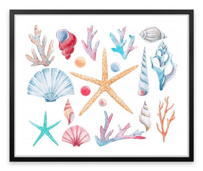 Coral and shells