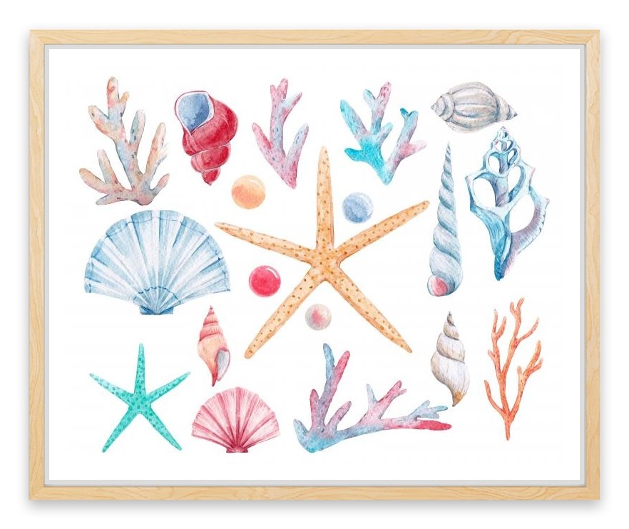 Coral and shells