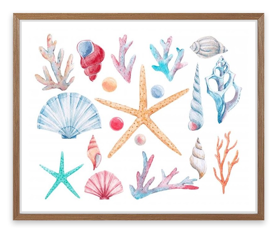 Coral and shells