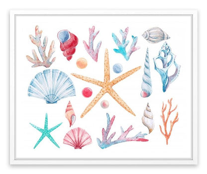 Coral and shells