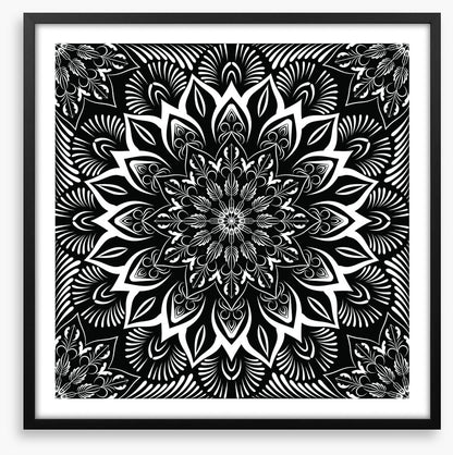 Midnight mandala