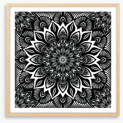 Midnight mandala