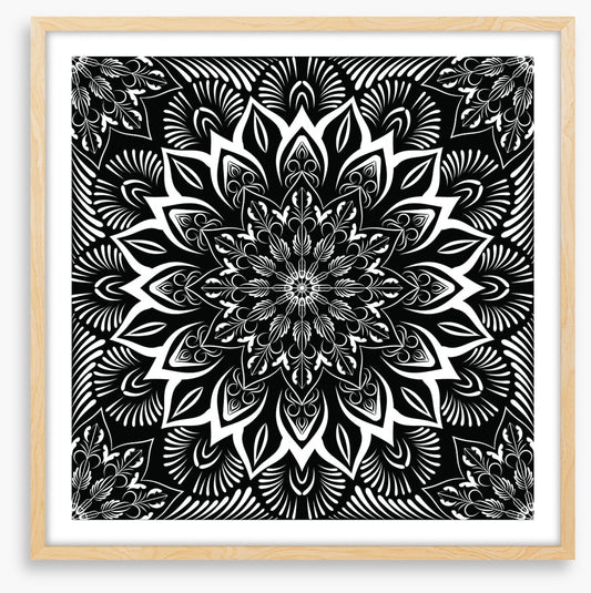 Midnight mandala