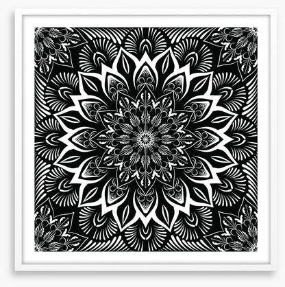 Midnight mandala