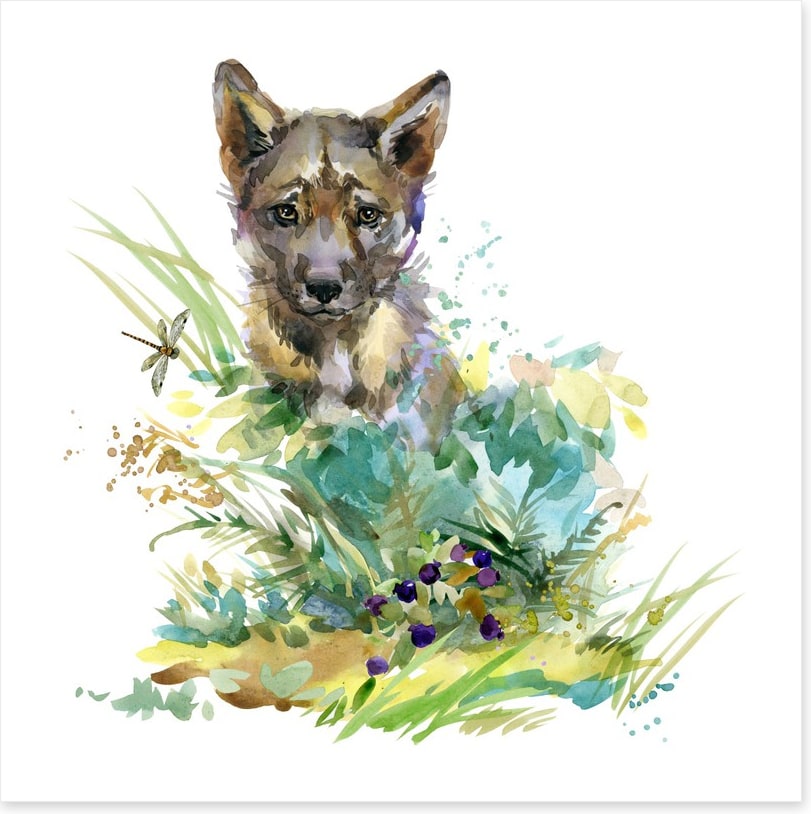 Wolf cub in the grass