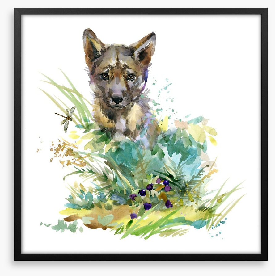 Wolf cub in the grass