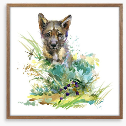 Wolf cub in the grass