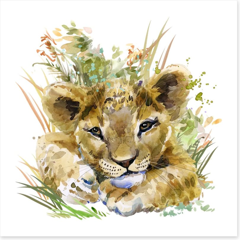 Lion cub in the grass