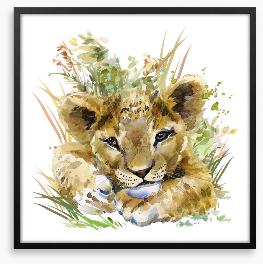 Lion cub in the grass