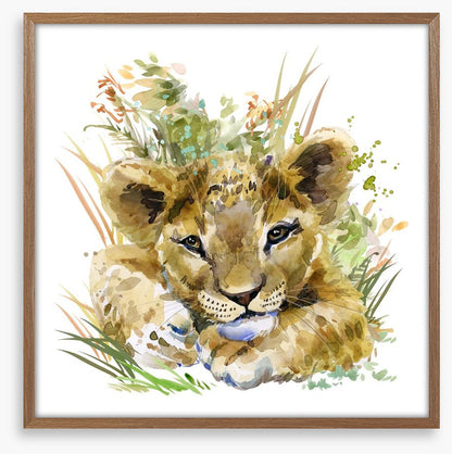 Lion cub in the grass