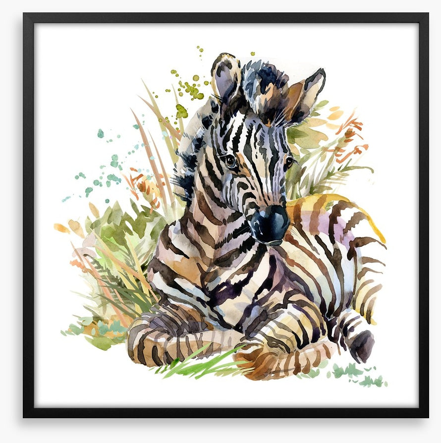 Zebra foal in the grass