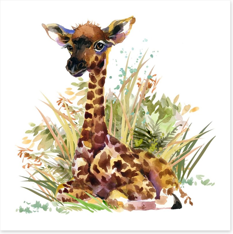 Giraffe calf in the grass