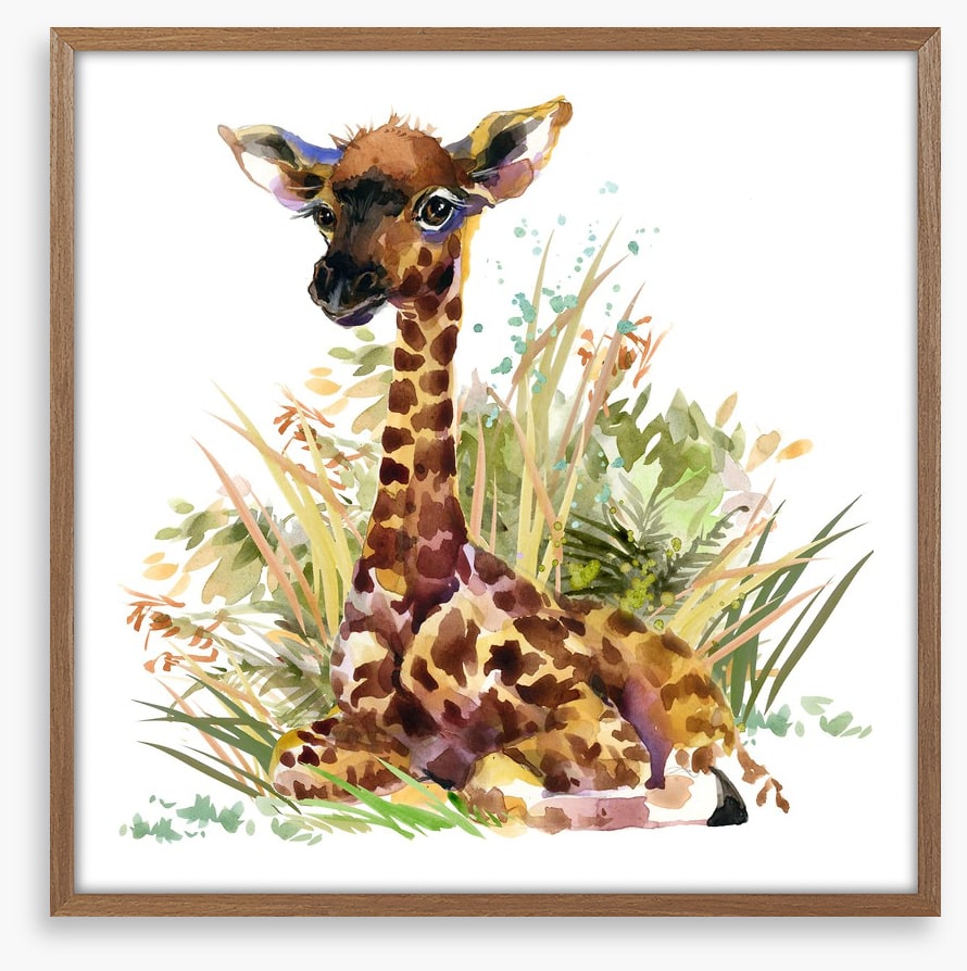 Giraffe calf in the grass