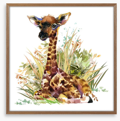 Giraffe calf in the grass