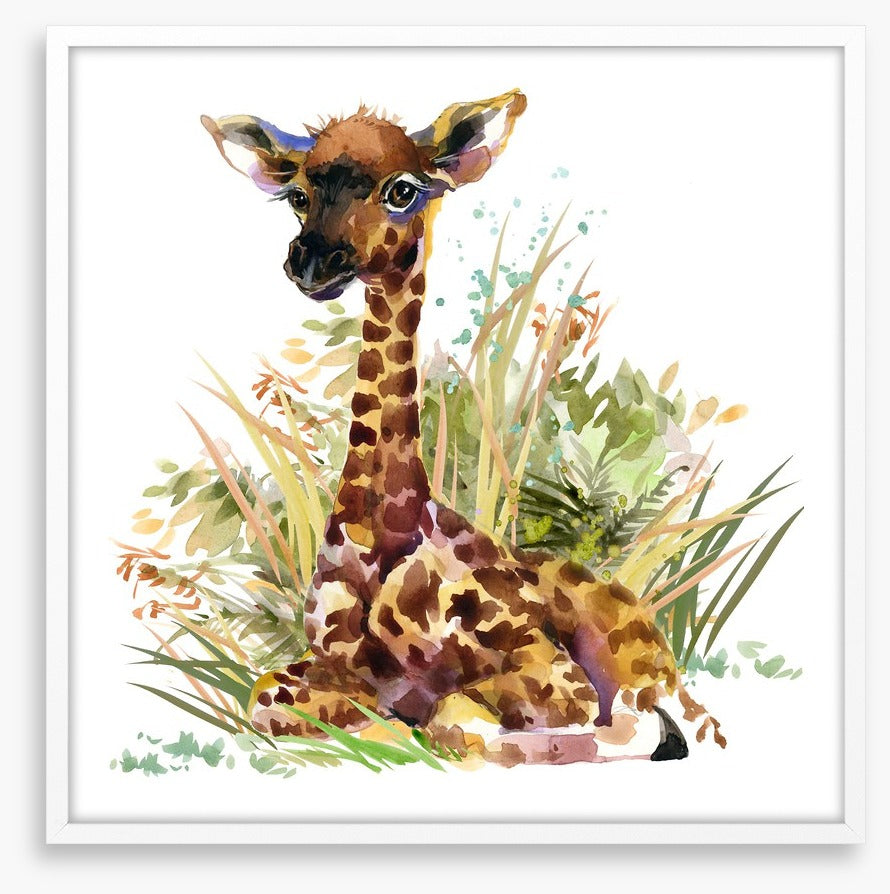 Giraffe calf in the grass