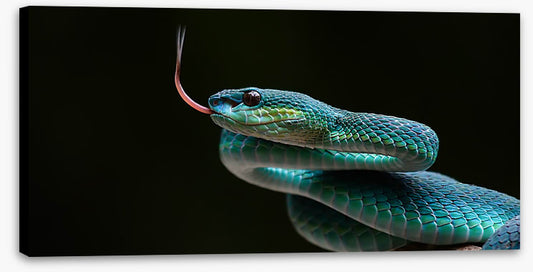 Reptiles