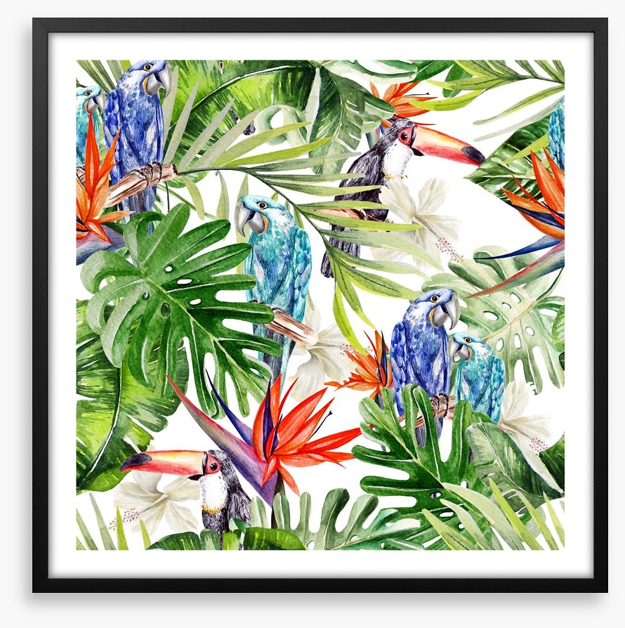 Blue parrot palms