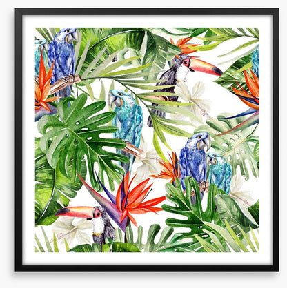 Blue parrot palms